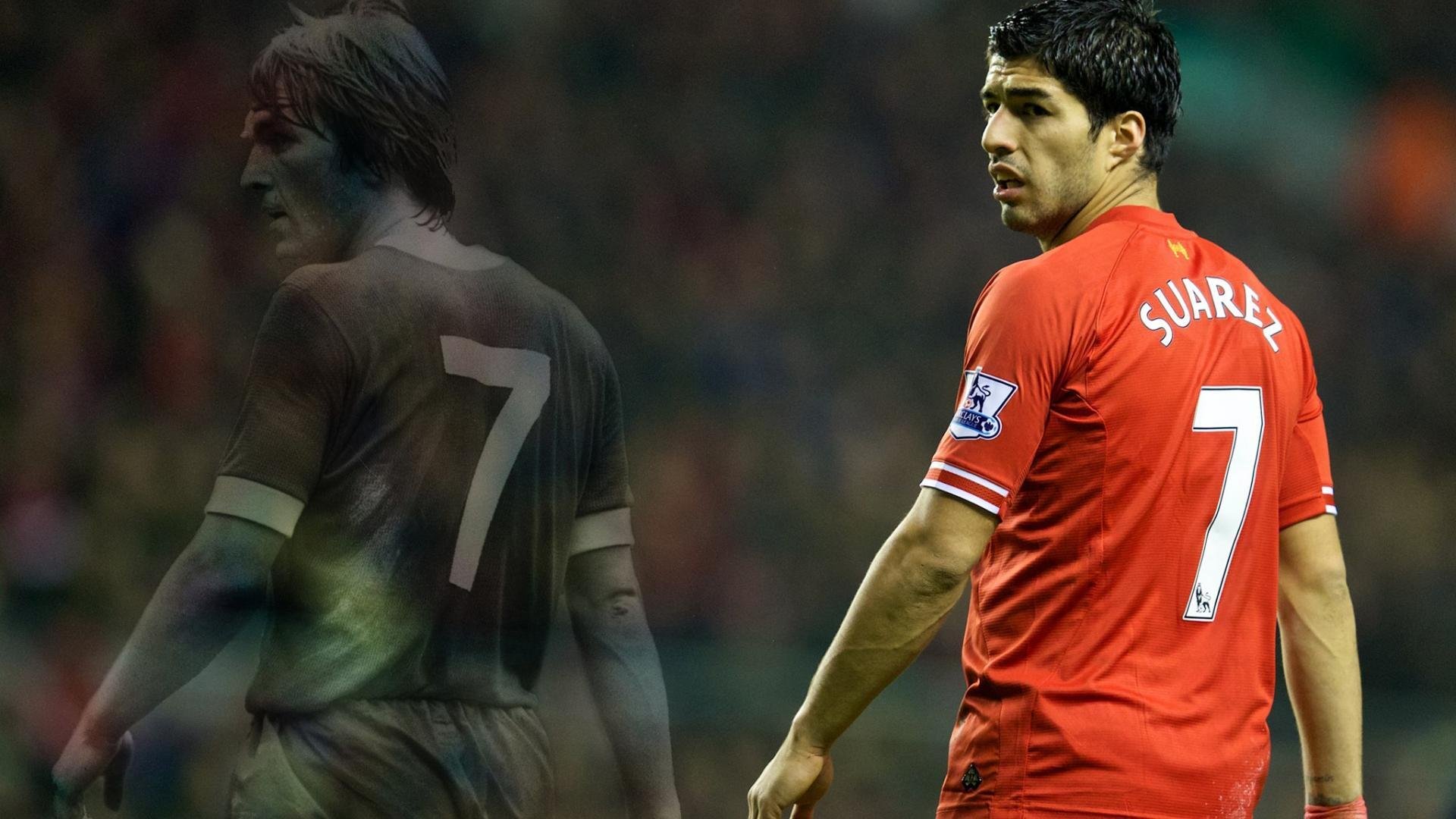 世界杯后重建计划全面启动，世界杯之后的赛程